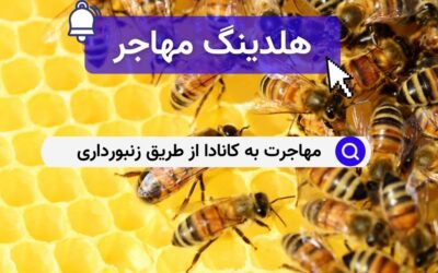 مهاجرت به کانادا از طریق زنبورداری