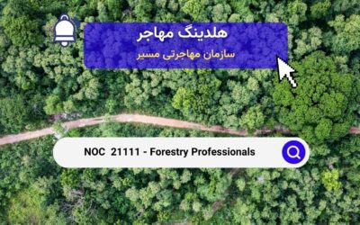 Noc 21111 –  حرفه‌های جنگلداری