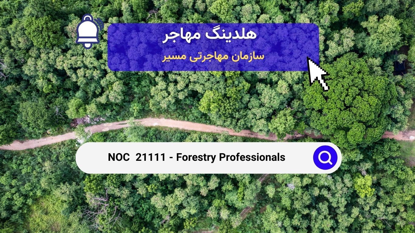 Noc 21111 - حرفه‌های جنگلداری