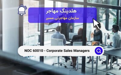 Noc 60010 – مدیران فروش شرکتی نقش‌ها، وظایف و الزامات