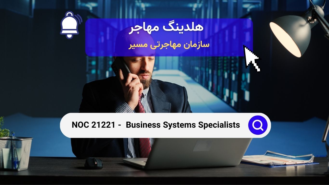 NOC 21221 - متخصصان سیستم‌های کسب‌وکار