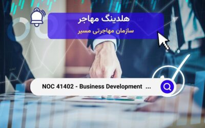 NOC 41402 – کارشناسان توسعه کسب‌وکار و محققان و تحلیل‌گران بازار