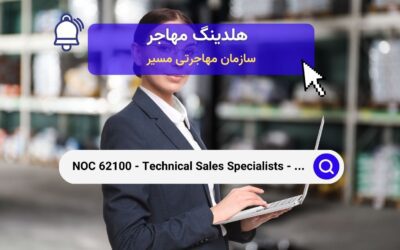 NOC 62100 – متخصصان فروش فنی – تجارت عمده‌فروشی
