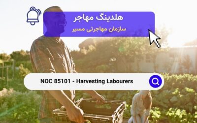 NOC 85101 –  مشاغل برداشت محصولات