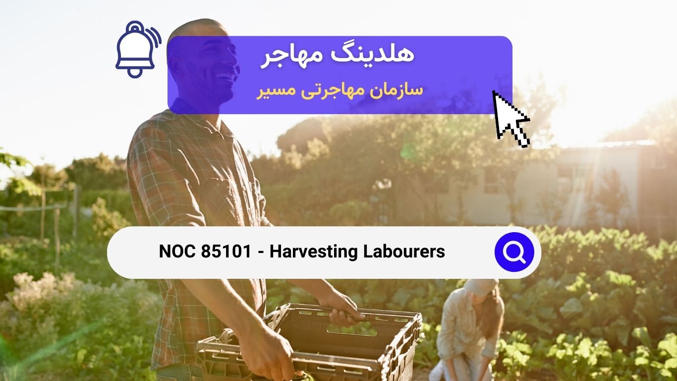 NOC 85101 - مشاغل برداشت محصولات